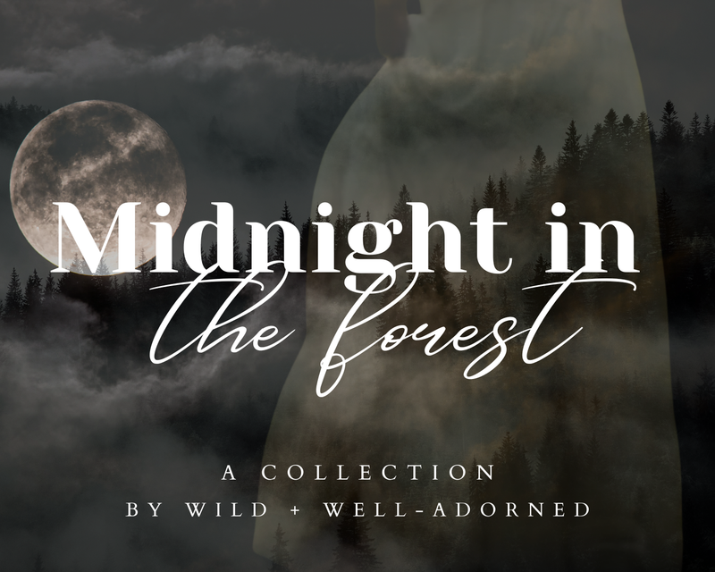 Midnight in the Forest